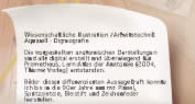 Wissenschaftliche Illustration / Arbeitstechnik: Die hier vorgestellten Bilder der Anatomie des Menschen sind überwiegend für PROMETHEUS Lern-Atlas der Anatomie (2004, Thieme Verlag) entstanden. Details >>>